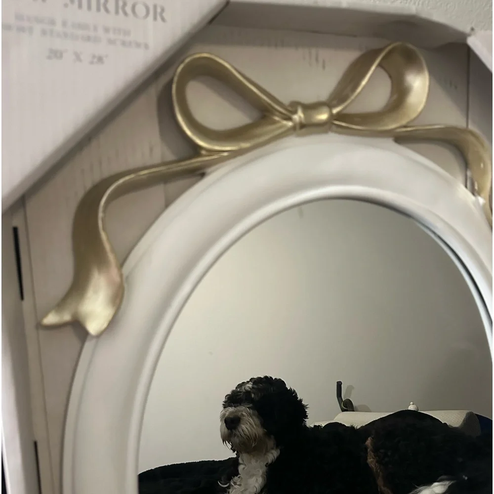 Brand new bow mirror